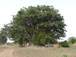 268187_10150260441159901_5093931_n